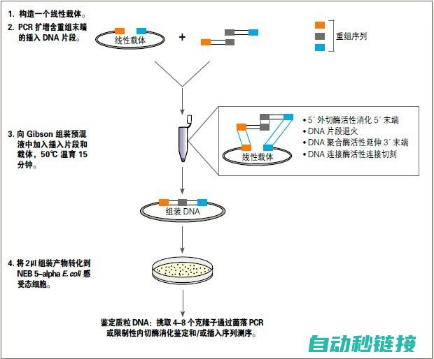 从连接步骤到操作指南 (连接的步骤)